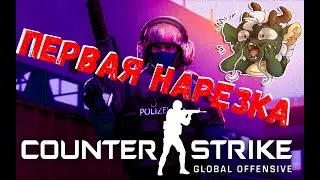 CS:GO c Drolinom-ПЕРВАЯ НАРЕЗКА