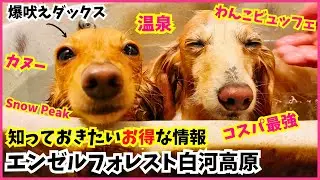 爆吠えダックスでも楽しめるリゾート施設　【エンゼルフォレスト白河高原】