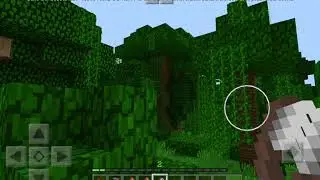Выживание в джунглях #7