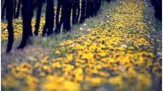 Lenka Dusilová - Fet.wmv