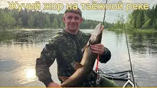 Нереальный щучий жор / Карелия / Водлозеро / Куганаволок / СКОРО ПОЛНЫЙ ФИЛЬМ / Из личного архива.