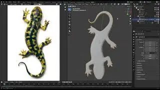 Blender 4.11 Salamander