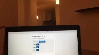 Philips hue REST api usage
