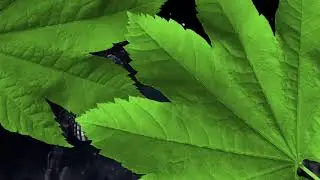 Universo en expansión 