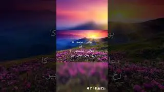 Message of the Day 01.06.2023@massmasala6315