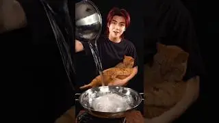 Please respond if you see this. I'll give it to you🙄 #shorts #asmr #makbung #cat #지민 #Jimin_Who