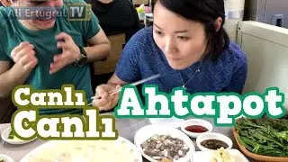 Eating Live Octopus (Horrible!!)