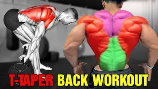 How To Build An Aesthetic V-Taper Body (Effective Workout)