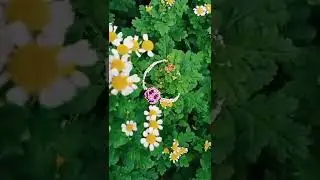 браслет из бисера///смайлик из бисера