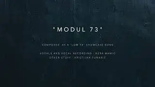 Modul 73   (