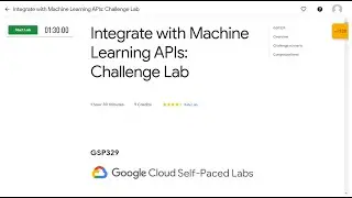 Integrate with Machine Learning APIs: 