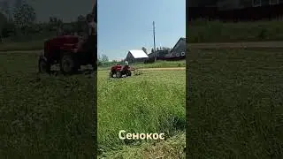 У нас сенокос