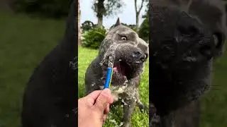 Nossa Rotina 