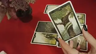 Для чего мне были даны эти отношения?✨💖Алена Таро