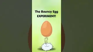 The Bouncy Egg Experiment! #scienceexperiment