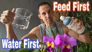 You've Been WATERING Your ORCHIDS Wrong All Along!