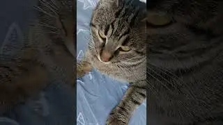 Мы еще не устали 