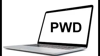 How to view and understand the present working directory (pwd) | Kali Linux