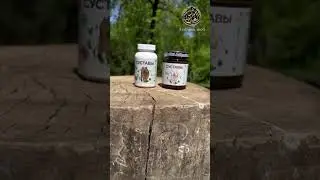 СУСТАВЫ | АРИФ ХИДЖАМА БЕЛАЯ ДАЧА +79023340000