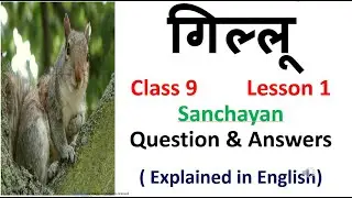 Gillu  , Lesson 1, Class 9, Question and Answers, English Explanation(Sparsh Text)