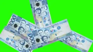 Philippine Bill Pesos Dropping Green Screen