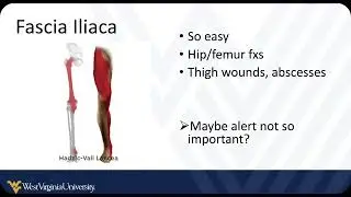 POCUS Guided Regional Anesthesia 3 - Fascia Iliaca Compartment Block