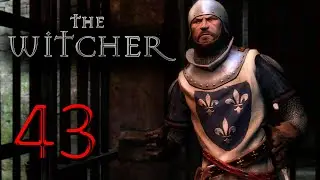 ПОСТАВКИ ФИСШТЕХА | Ведьмак 1 | The Witcher 1 #43