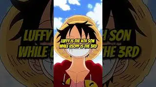 Each role of characters if straw hat were family 