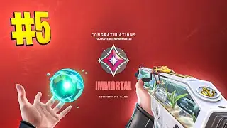 How to make Immortal look easy... Sage ONLY to Radiant