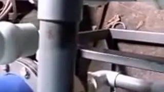 SS Membrane Solids removal Filter