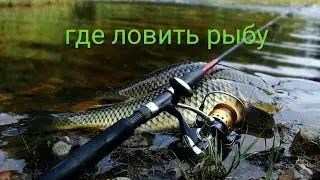 рыбалка на удочку