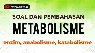 UH Metabolism Class XII - Questions and Discussion