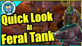 A Quick Look At Feral Tanks In TBC! - Classic WoW TBC