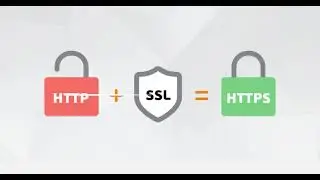 How to Install an SSL Certificate on Your WordPress Site