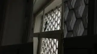 Фальконье в доме со Львом!