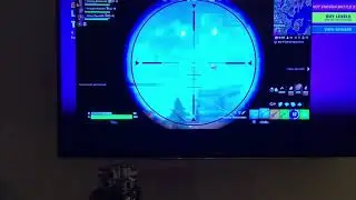 Crazy snipe