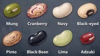 Every Bean Explained