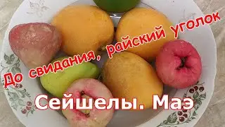 Путешествие на остров Маэ. Сейшелы. 2023 г. Часть 7