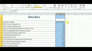 Data Bars in Microsoft Excel
