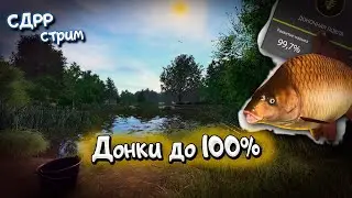 Докачиваю донки на Медном. + проверка замедления ютуб. ( Русская рыбалка 4 )
