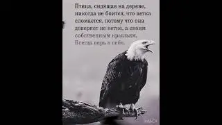 Верь в себя
