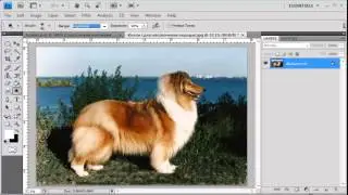 Фотошоп 6 Осветлитель, затемнитель, губка