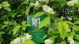 Андрей Вознесенский 
