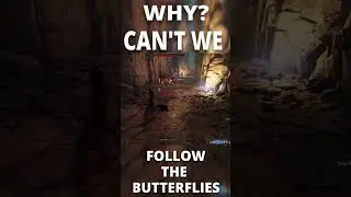 WHY SPIDERS? WHY CAN'T WE FOLLOW THE BUTTERFLIES | Hogwarts Legacy 