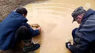Вольные старатели! Добыча золота! Сибирские ФАВЕЛЫ, роскошь и нищета!