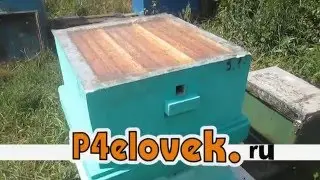Объединение семей через тюль