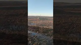 В тундре, летом и не пахнет!