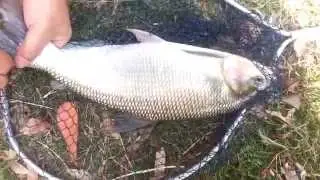 Pesqueiro