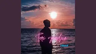 Teri Yaadein