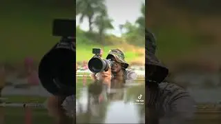Esse 